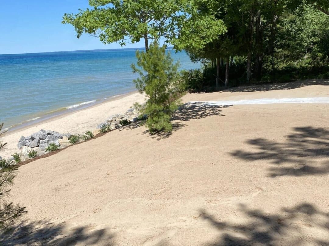 Restored beach with native plantings